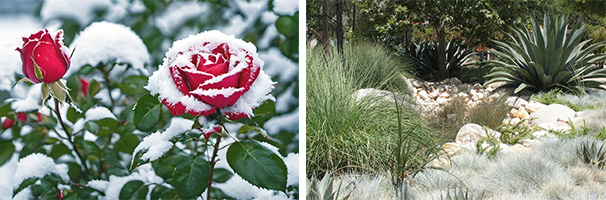 cold and warm climate garden examples