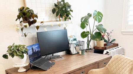 Indoor plants surrounding a computer in a home office