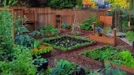 Large home vegetable garden