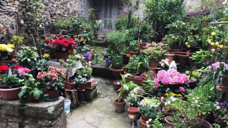 Small courtyard garden