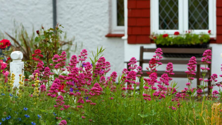 Section of a cottage style garden