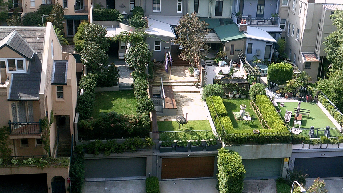 Urban roof top gardens