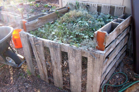 Compost bin full of organic matter