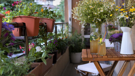 Balcony Garden