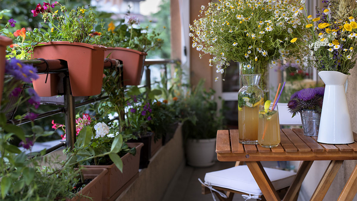 Balcony Garden