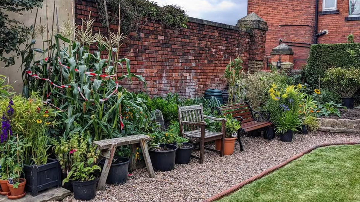 Container Vegetable Garden
