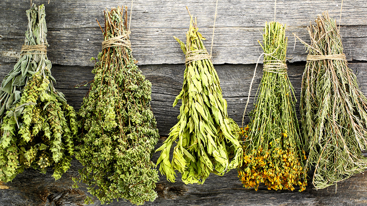 Herbs air drying