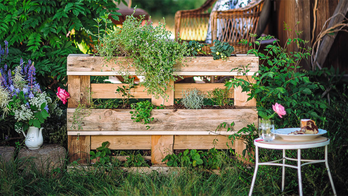 Small pallet garden