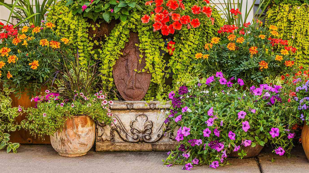 Large container flower garden