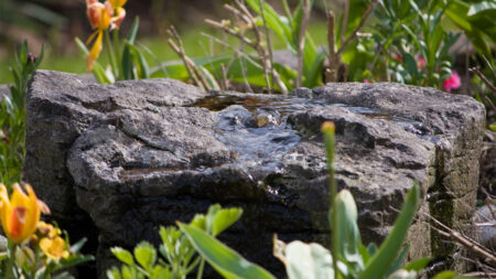 Small home garden water feature