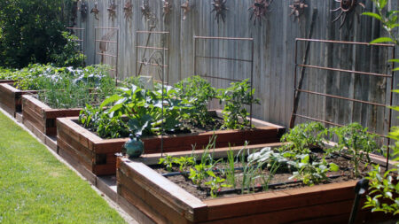 Raised Garden Beds