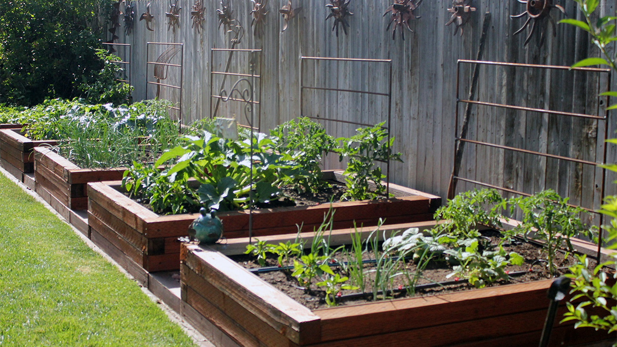Raised Garden Beds