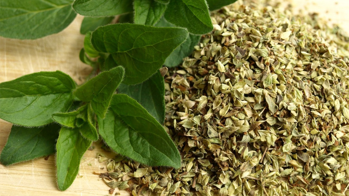 Fresh & dried healing herbs